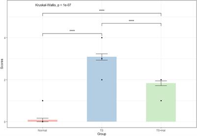 Neuroinflammation in a Rat Model of Tourette Syndrome